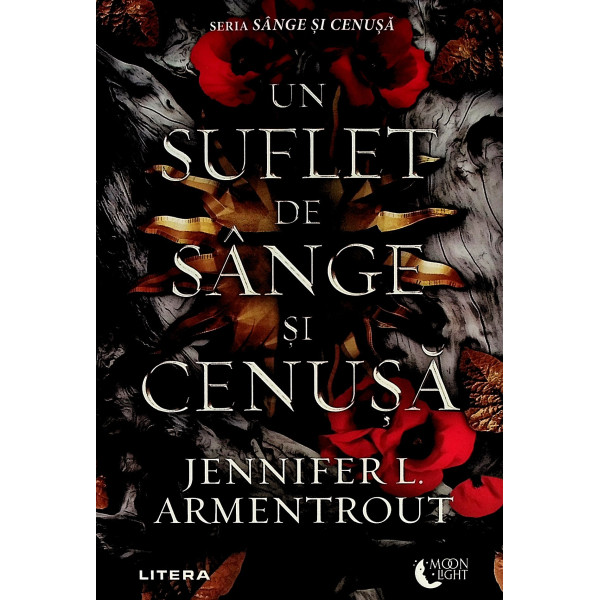 Un suflet de sange si cenusa