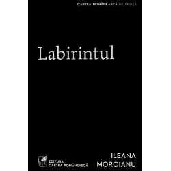 Labirintul