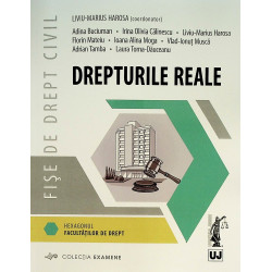 Fise de drept civil....