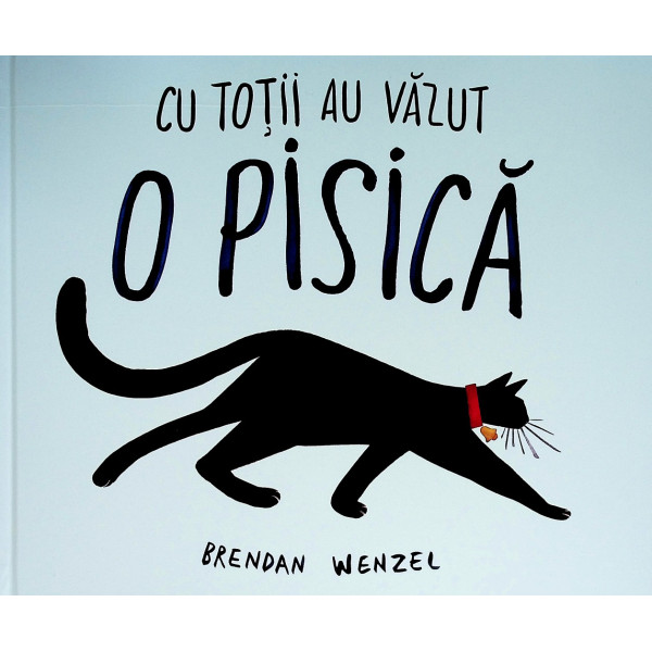 Cu totii au vazut o pisica