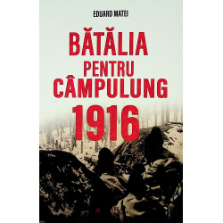 Batalia pentru Campulung 1916