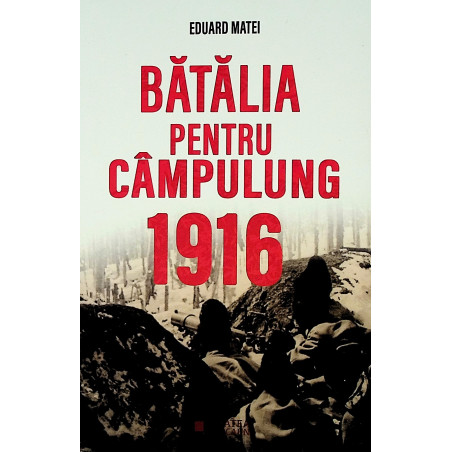 Batalia pentru Campulung 1916