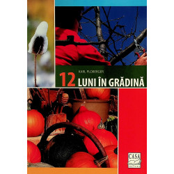 12 luni in gradina