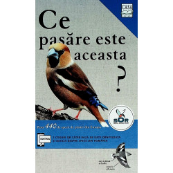 Ce pasare este aceasta?...