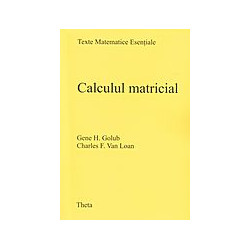 Calculul matricial