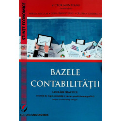 Bazele contabilitatii....