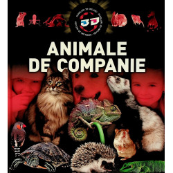 Animalr de companie....
