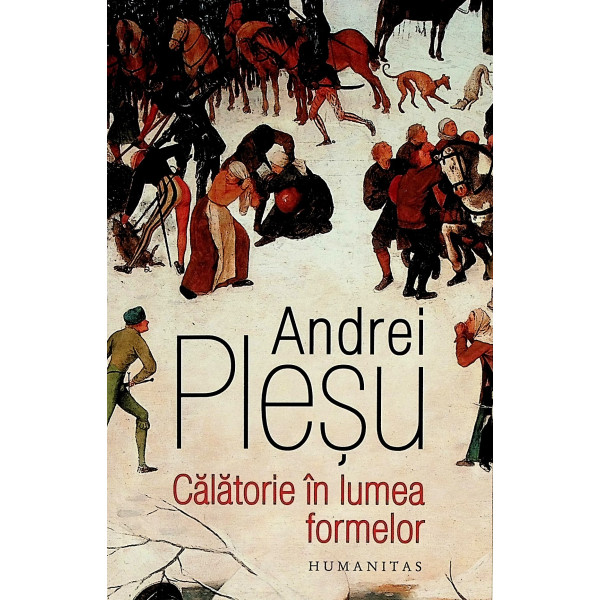 Calatorie in lumea formelor