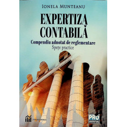 Expertiza contabila....