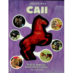 Caii. Povestea animalului...