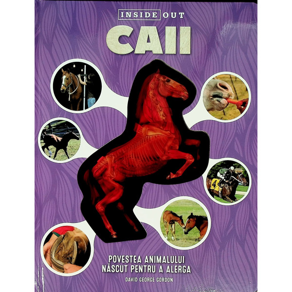 Caii. Povestea animalului nascut pentru a alerga