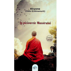 La picioarele Maestrului