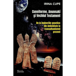 Cuneiforme, Anunnaki si...