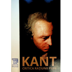 Critica ratiunii pure