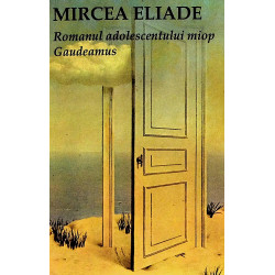 Romanul adolescentului...