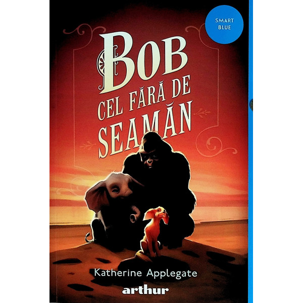 Bob cel fara de seaman