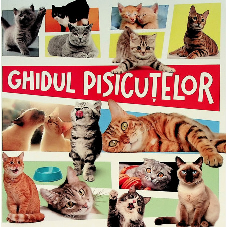 Ghidul pisicutelor