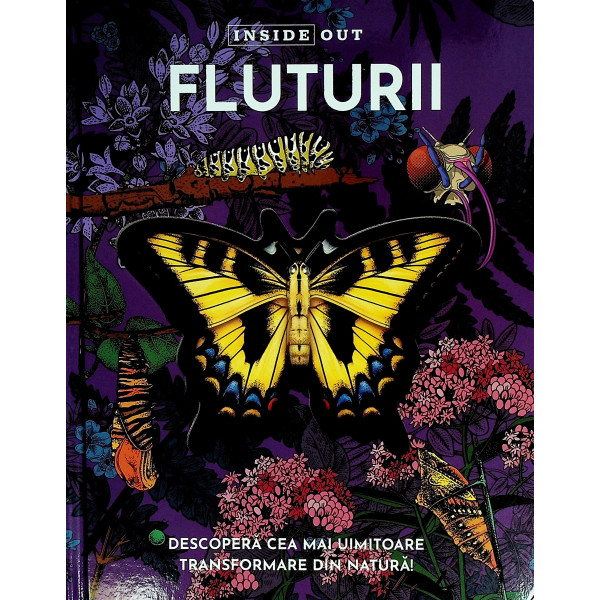 Fluturii. Descipera cea mai uimitoare transformare din natura!