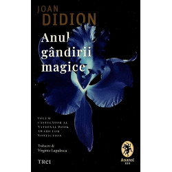 Anul gandirii magice