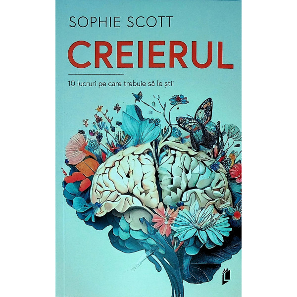 Creierul. 10 lucruri pe care trebuie sa le stii