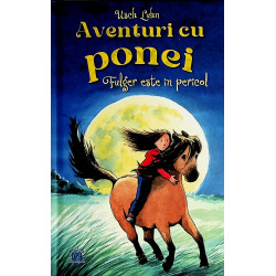 Aventuri cu ponei. Fulger...