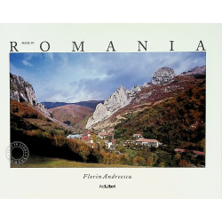 Made in Romania