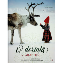 O dorinta de Craciun