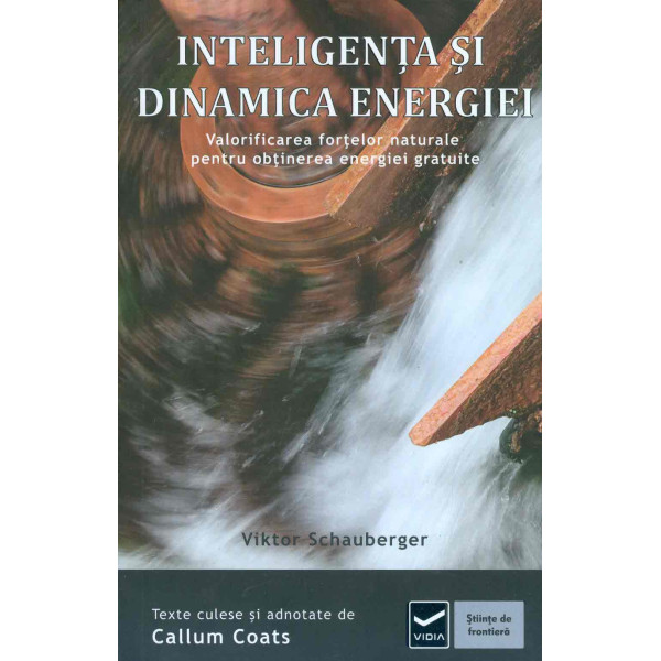 Inteligenta si dinamica energiei