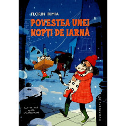 Povestea unei nopti de iarna