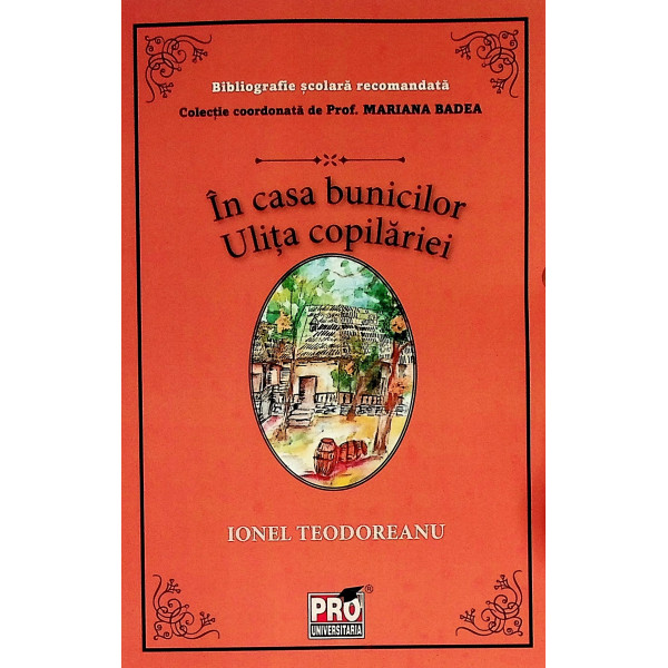 In casa bunicilor. Ulita copilariei.