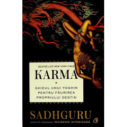 Karma -Ghidul unui yoghin...