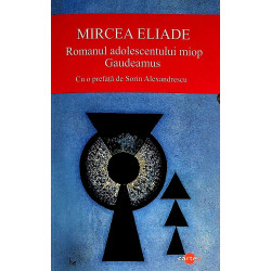 Romanul adolescentului...
