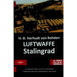 Luftwaffe in batalia de la...