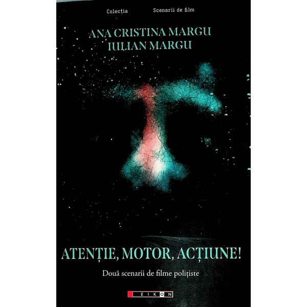 Atentie, motor, actiune! Doua scenarii de filme politiste
