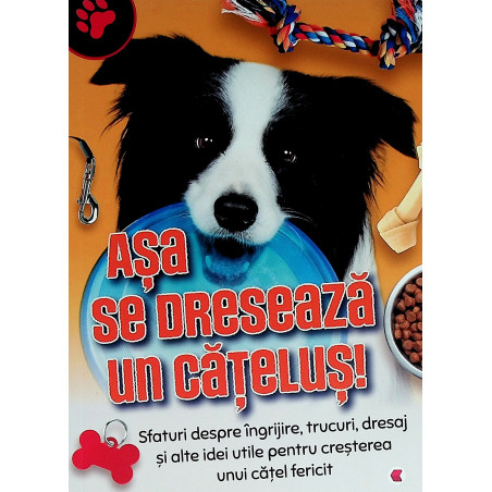 Asa se dreseaza un catelus!...