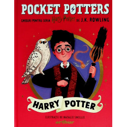 Pocket Potters. Harry Potters