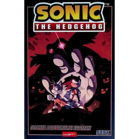 Sonic 2 - Soarta doctorului...