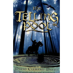 The Telling Pool