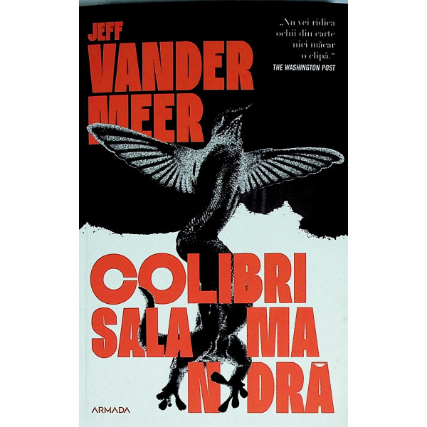 Colibri Salamandra