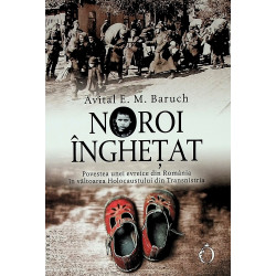 Noroi inghetat. Povestea unei evreice din Romania in valtoarea Holocaustului din Transilvania