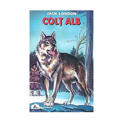 Colt Alb