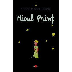 Micul print