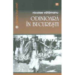 Odinioara in Bucuresti