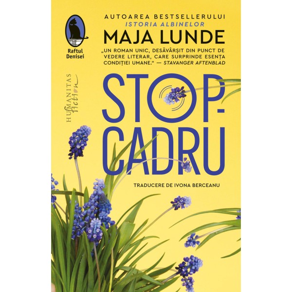 Stop-Cadru