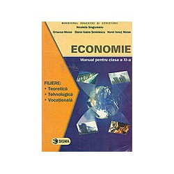 Economie, clasa a XI-a