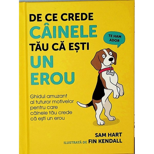 De ce crede cainele tau ca esti un erou