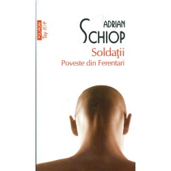Soldatii. Poveste din...