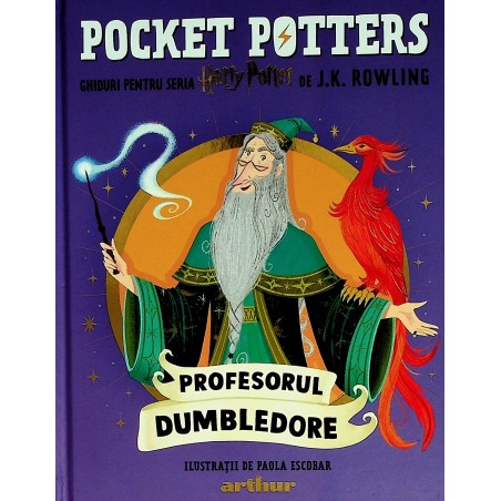 Pocket Potters - Profesorul...