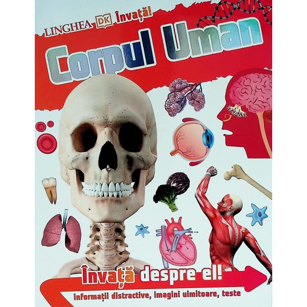 Corpul uman - Invata despre el!