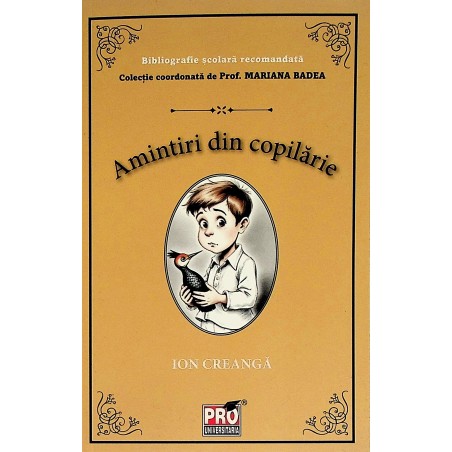 Amintiri dib copilarie